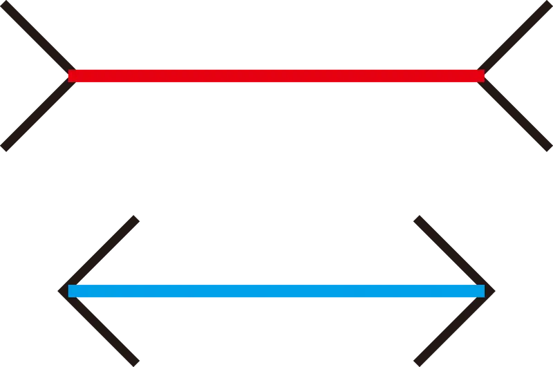 Müller-Lyer illusion